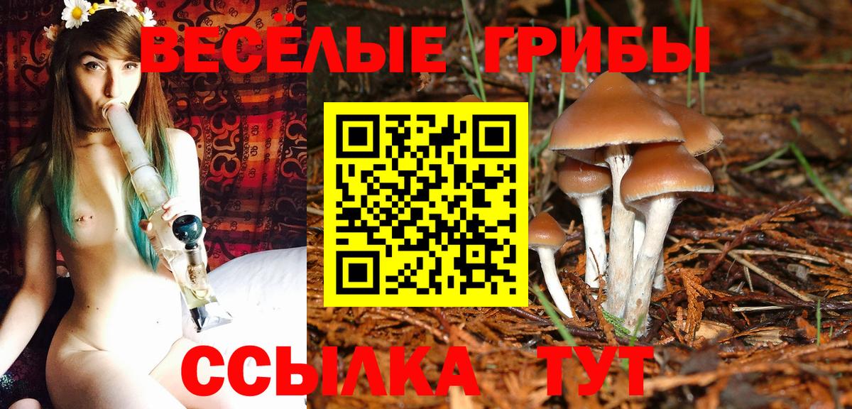 Волхов  Псилоцибиновые грибы Cubensis  Псилоцибиновые грибы Magic Shrooms  Вход с VPN 